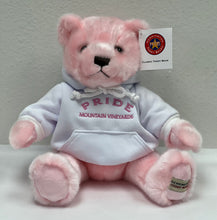 Load image into Gallery viewer, 2022 Pride Mountain Vineyards Classic Teddy Bear w/Sweatshirt