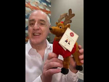 Load and play video in Gallery viewer, Harry & Hannah The Christmas Adventure Original Reindeer