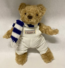 Load image into Gallery viewer, 2001 10” Harry & Hannah Christmas Adventure North Pole Set of 2 Teddy Bears