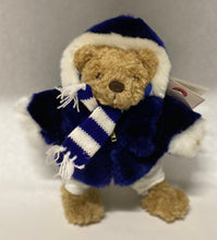 Load image into Gallery viewer, 2001 Harry & Hannah North Pole Adventure- 10” Harry Teddy Bear