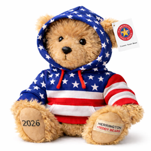 Load image into Gallery viewer, USA Flag Series Teddy Bear
