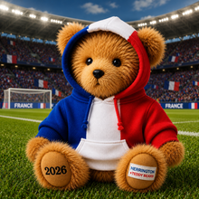 Load image into Gallery viewer, France Flag Series Teddy Bear

